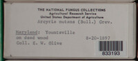 Image Associated With the Occurence